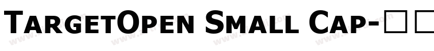 TargetOpen Small Cap字体转换